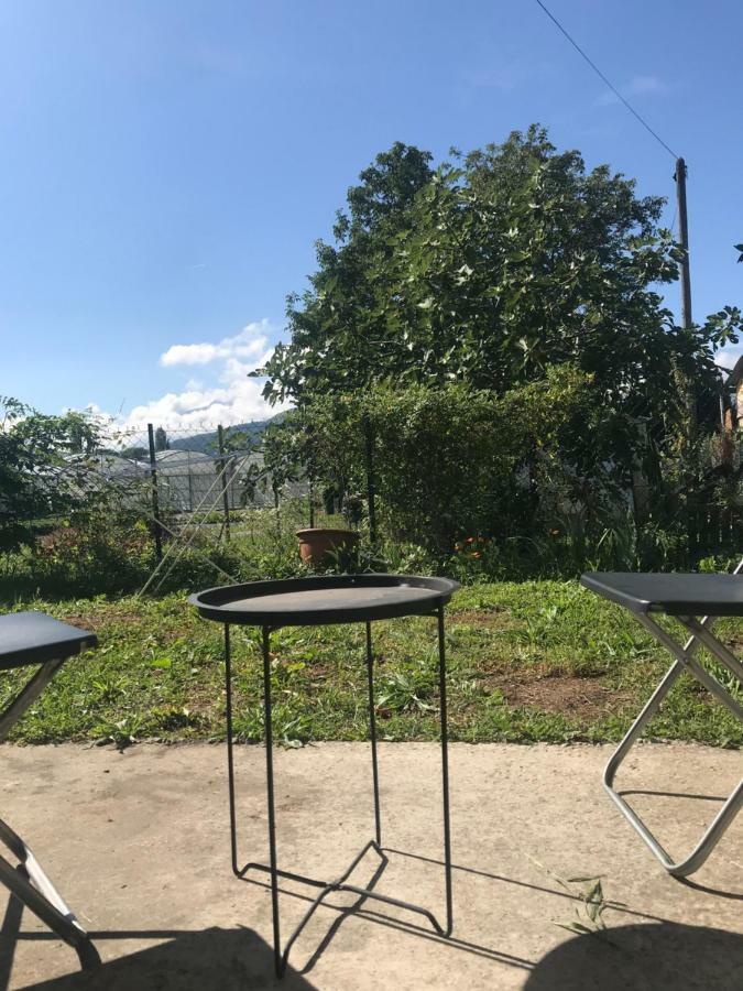 Joli Studio Au Calme Lägenhet Bassens  Exteriör bild